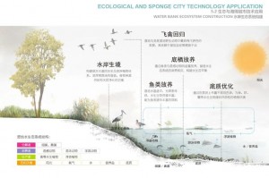 孢子250的生物怎么找;孢子怎么获得dna