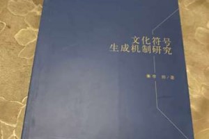 暴力鸟叔什么时候出的(暴力鸟是什么意思)