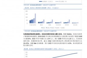 世界上最大的手游,世界上最大的手游平台