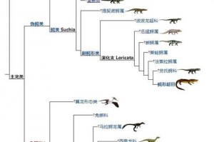 洛克王国呱呱有多少种(洛克王国呱呱值得练吗)