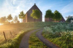 好游戏有哪些,好游戏有哪些？