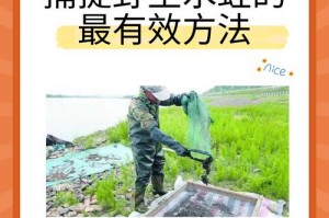 松果兽怎么捕捉—松果在哪里找