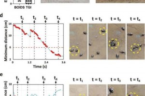 保卫萝卜3糖果赛最佳搭配-保卫萝卜3糖果赛怎么打高分