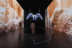 海贼王寻秘世界好玩吗 海贼王寻秘世界怎么样