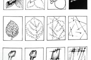 鼠标为什么叫鼠标(鼠标为什么叫鼠标不叫猫标狗标)