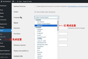 纸飞机怎么设置中文_纸飞机怎么设置中文步骤