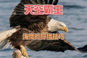 c罗最厉害的绝招是什么c罗的绝招是名字是什么