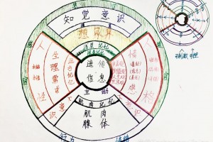 灰太狼假扮喜羊羊是哪一部 灰太狼假扮暖羊羊