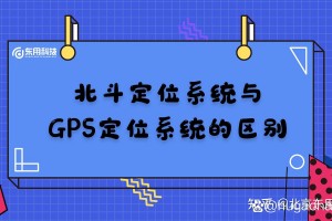 长颈龙和腕龙的区别,腕龙 长颈龙 区别