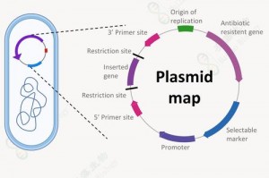 仙剑奇侠传单机游戏在哪里(仙剑奇侠传单机端游)