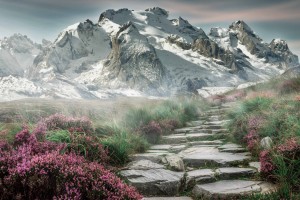 梦幻西游4女儿还能玩吗梦幻西游4女儿还能玩吗现在