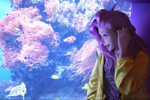 魔兽世界9.0武器战和狂暴战谁厉害，魔兽世界90武器战和狂暴战哪个好？