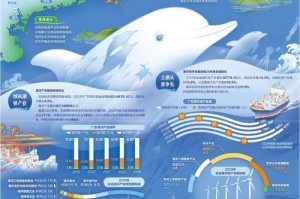 连云港的鱿鱼为什么那么便宜_连云港的鱿鱼好吃吗