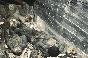 都经历了什么？—都经历了什么图片