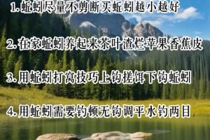 新鲜的红腮鱼在哪钓-新鲜的红腮鱼烹饪图纸