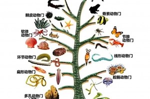 赛尔号卡茨是卡修斯吗—赛尔号卡茨的逆袭任务