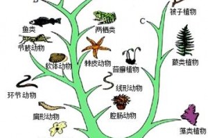 骷髅进化-打造最强亡灵军团—骷髅进化-打造最强亡灵军团笔趣阁