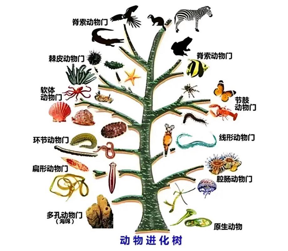 赛尔号卡茨是卡修斯吗—赛尔号卡茨的逆袭任务 - 888游戏网