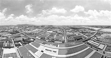 连云港的鱿鱼为什么那么便宜_连云港的鱿鱼好吃吗 - 888游戏网