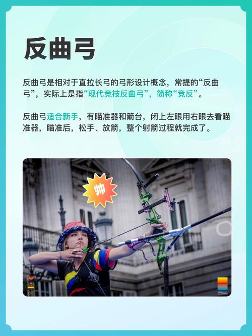 怪物猎人p3煌黑龙用什么弓—怪物猎人p3煌黑龙套装怎么配属性 - 888游戏网