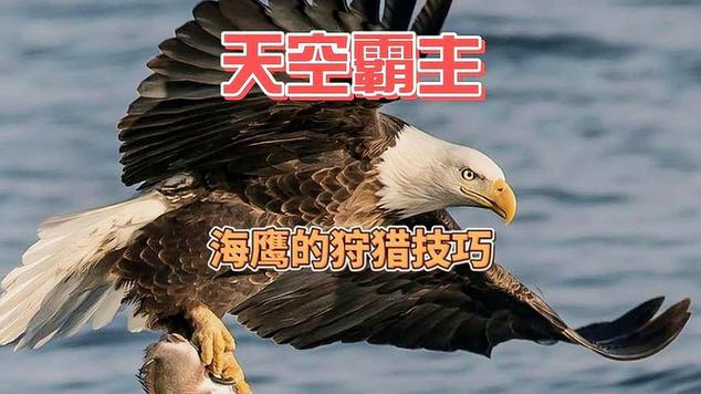 c罗最厉害的绝招是什么c罗的绝招是名字是什么 - 888游戏网