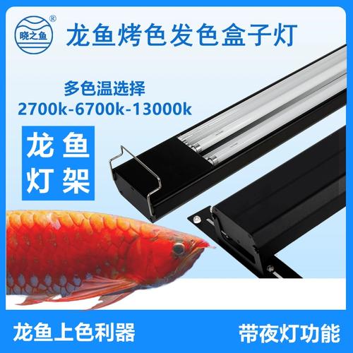 红顶剑龙进化后是什么;红龙顶灯有用吗 - 888游戏网