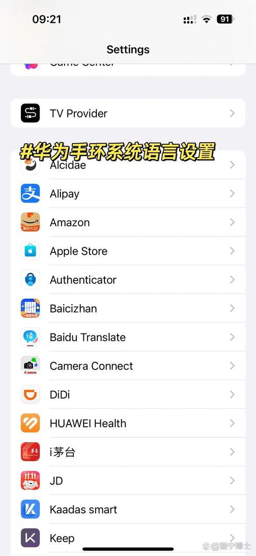 纸飞机怎么设置中文_纸飞机怎么设置中文步骤 - 888游戏网
