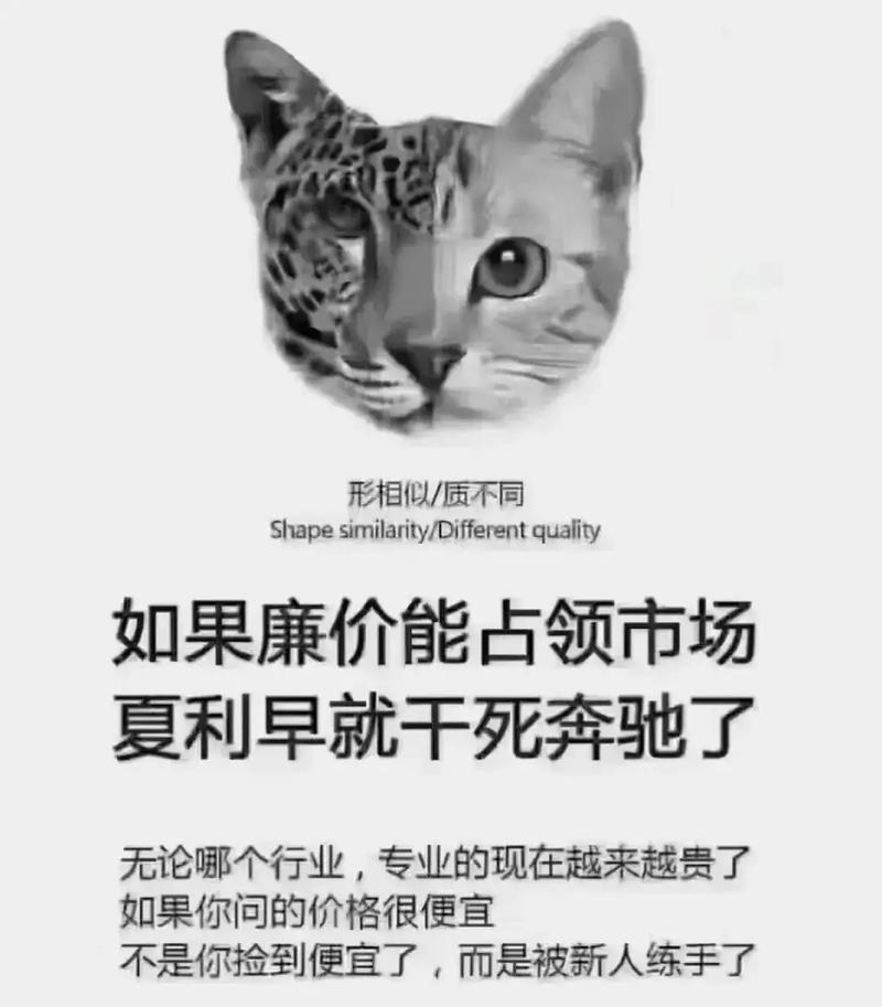 真三国无双7pc版多少钱-真三国无双7售价 - 888游戏网