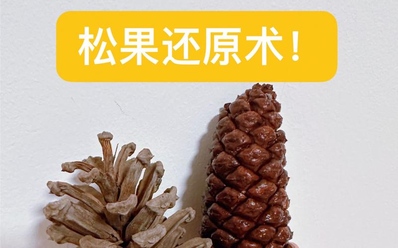 松果兽怎么捕捉—松果在哪里找 - 888游戏网