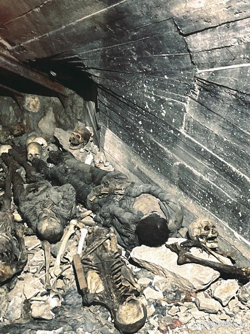 都经历了什么?—都经历了什么图片 - 888游戏网