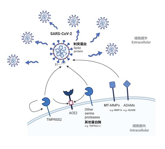 60秒女儿变异条件-手游60秒女儿怎么变异 - 888游戏网
