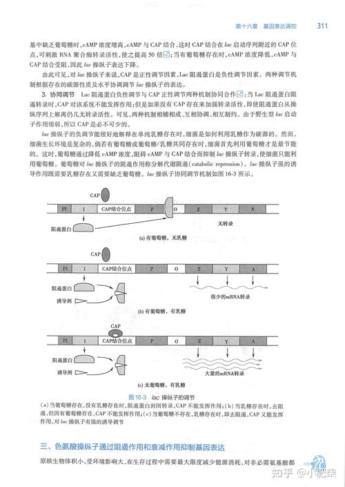 60秒女儿变异条件-手游60秒女儿怎么变异 - 888游戏网