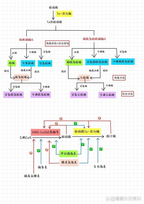 破灭魔龙兽怎么合成;破灭魔龙兽实力 - 888游戏网