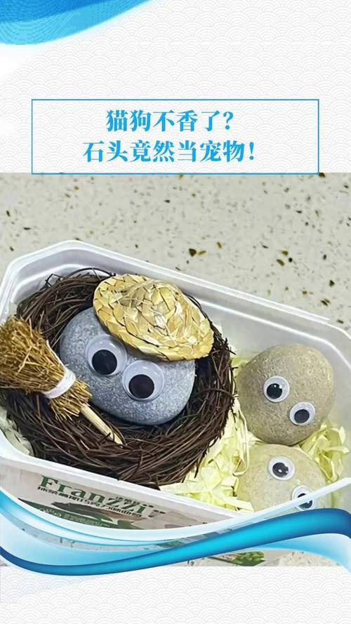 冒险王精灵物语石头宠物在哪关,冒险王精灵物语boos大全 - 888游戏网