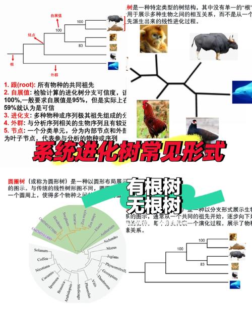 洛克王国小独角兽在哪抓;洛克王国小独角兽在哪里获得 - 888游戏网