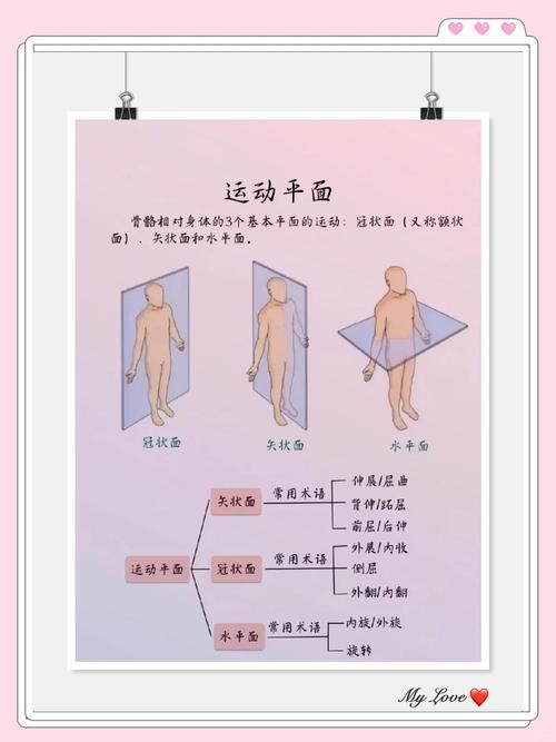 三大球以什么为代表,三大球为什么叫三大球 - 888游戏网