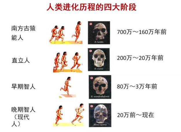 超级玛丽乌龟叫什么-超级玛丽乌龟图片大全 - 888游戏网