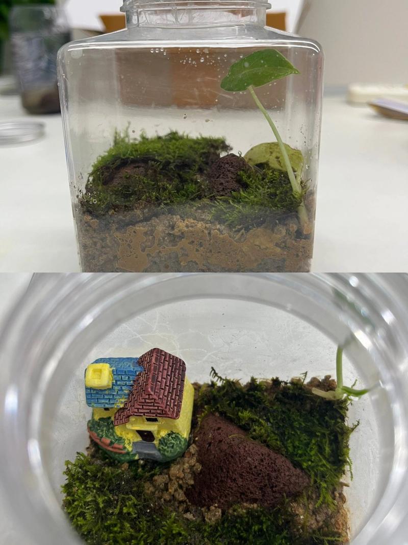 饥荒格罗姆怎么养;饥荒格罗姆怎么驯服 - 888游戏网