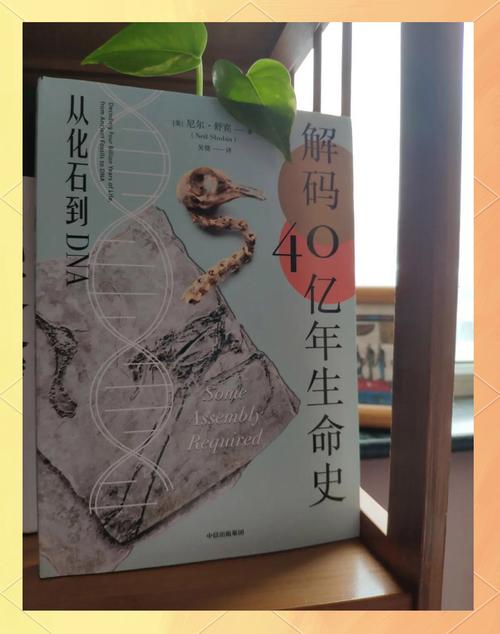 男人想征服女人代表什么,男人想征服女人的心理 - 888游戏网