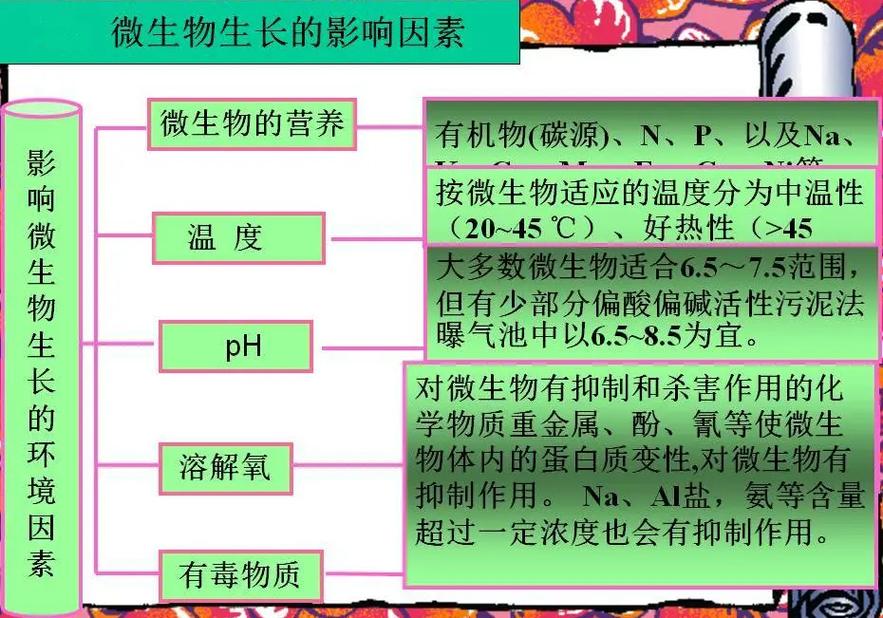 为什么深海大鱿鱼不好吃、为什么深海大鱿鱼不好吃了 - 888游戏网