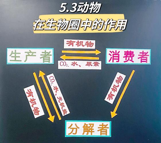 为什么深海大鱿鱼不好吃、为什么深海大鱿鱼不好吃了 - 888游戏网