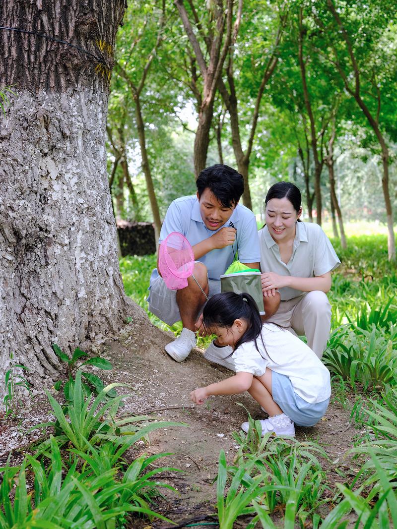素质拓展活动有哪些、素质拓展活动有哪些小学生 - 888游戏网