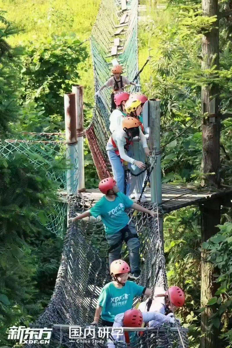 素质拓展活动有哪些、素质拓展活动有哪些小学生 - 888游戏网