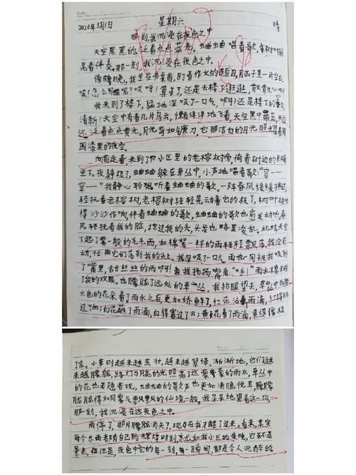 三国无双4和5哪个好玩 三国无双4谁最好玩 - 888游戏网