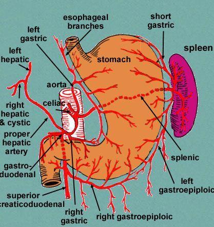 第一使徒卡恩长什么样 地下城使徒卡恩 - 888游戏网