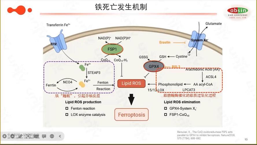 瘦长鬼影降临怎么调中文_瘦长鬼影降临怎么玩 - 888游戏网