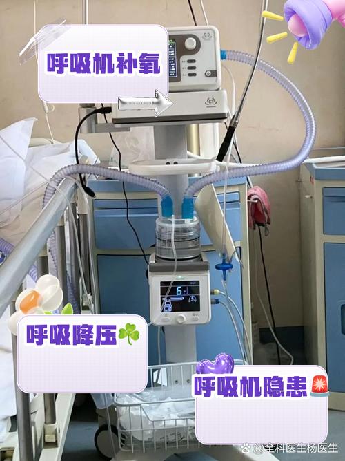 自己在家怎么补充氧气 怎么给自己补氧 - 888游戏网