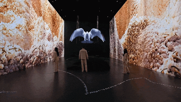 海贼王寻秘世界好玩吗 海贼王寻秘世界怎么样 - 888游戏网