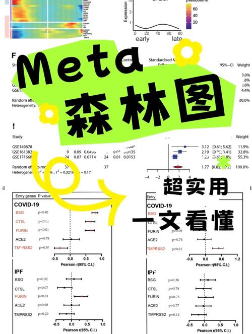 美少女梦工厂4怎么去森林美少女梦工厂4nds攻略 - 888游戏网