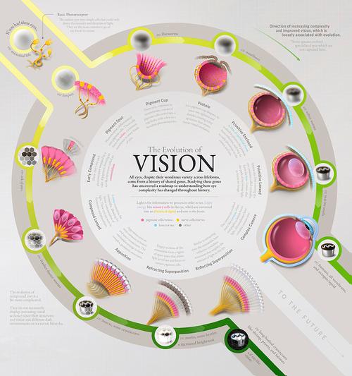 蒂法是什么游戏的角色、蒂法是什么游戏的角色名字 - 888游戏网